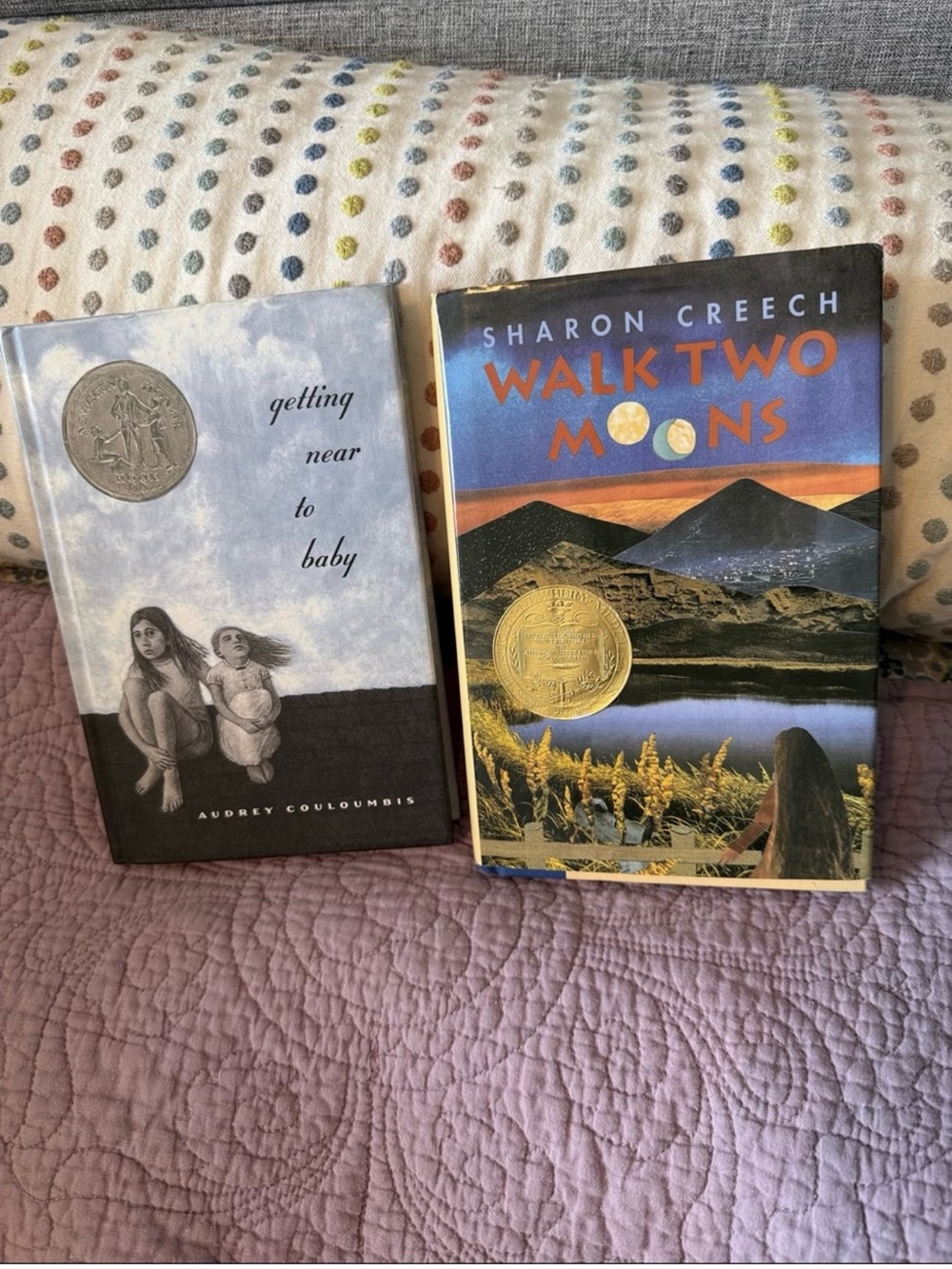 Two Hardcover Award Winning Kids Books - John Newberry Medal